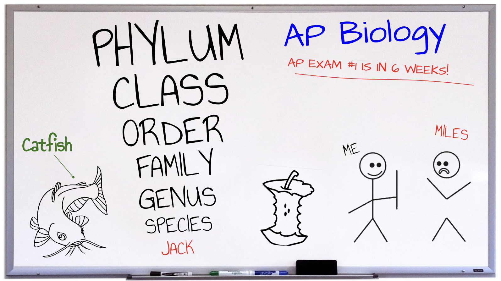 AP Bio production still