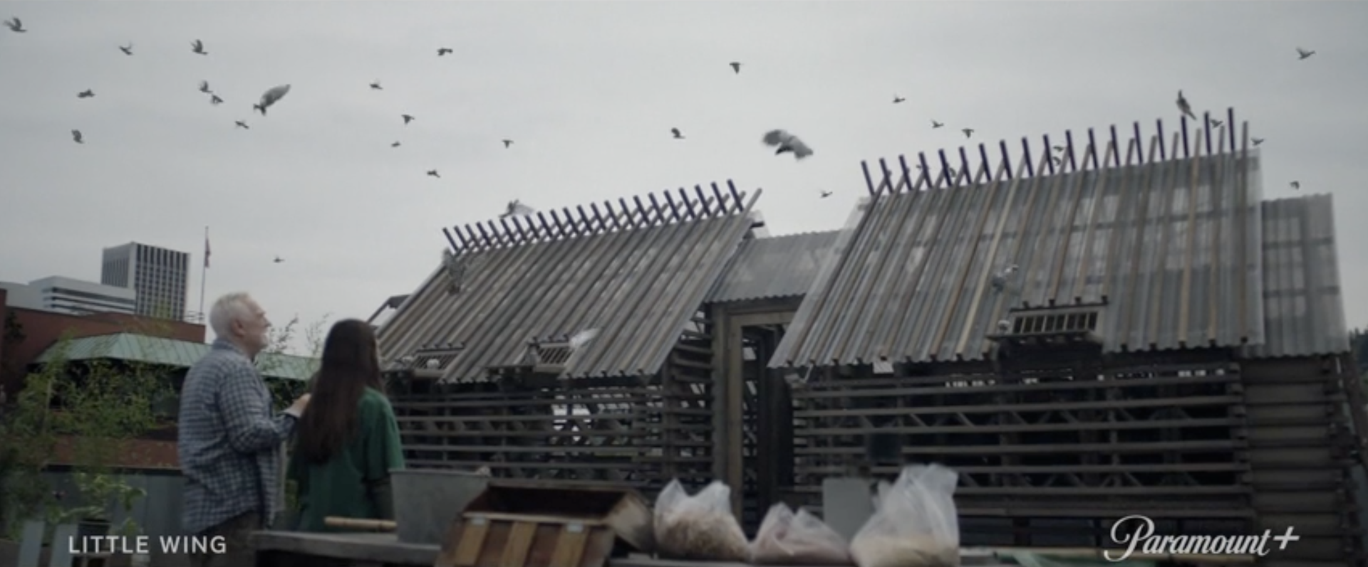 Little Wing production still