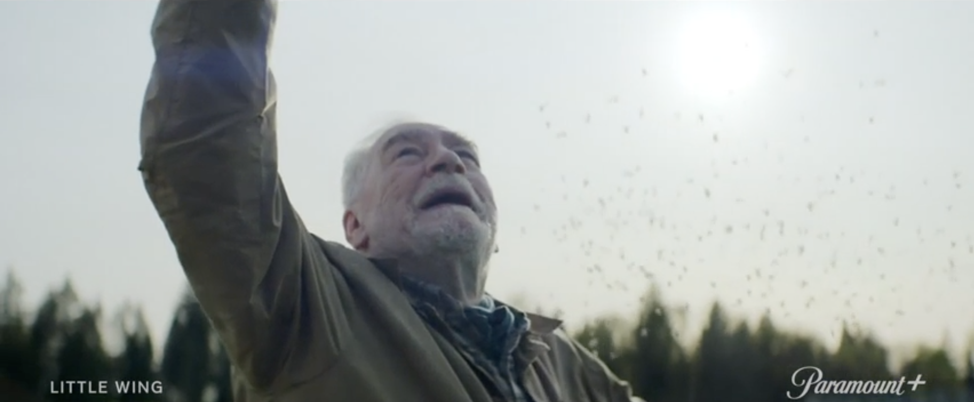 Little Wing production still