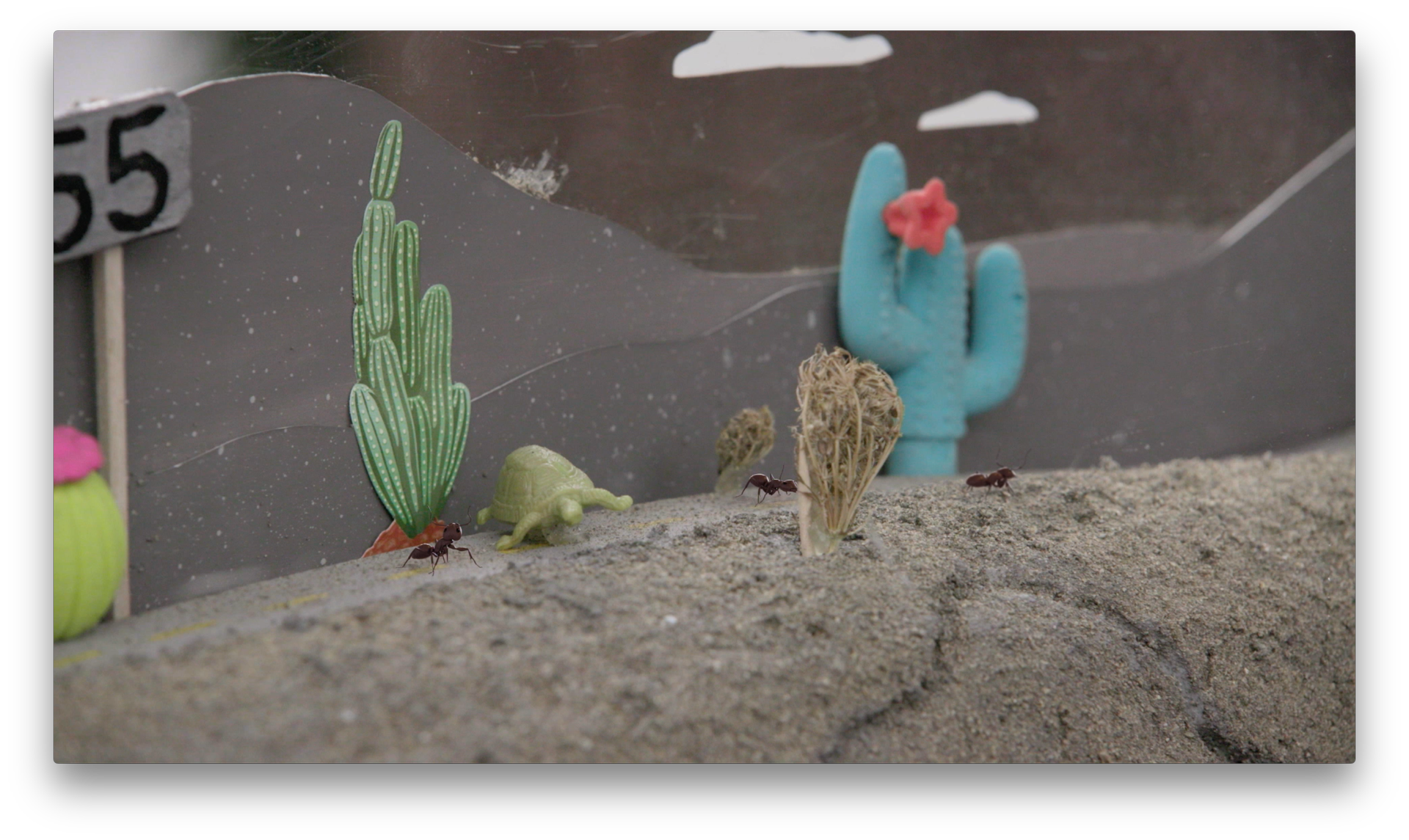 Portlandia production still