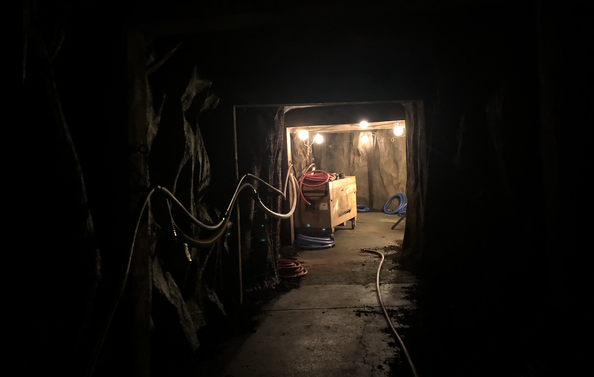 The Girl in the Woods production still
